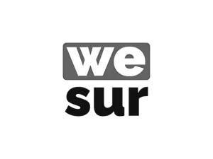 Wesur logo